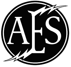 Acoustic Electric Strings